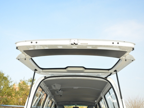 2021款 金杯海狮王 2.0L城运王系列捷运型标准顶6座1TZS