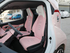 2021款 五菱NanoEV 迪士尼疯狂动物城JUDY限定款