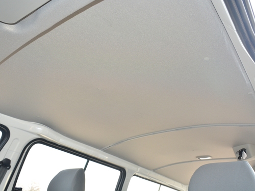 2021款 金杯海狮王 2.0L城运王系列捷运型标准顶6座1TZS