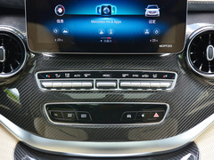 2021款 迈莎锐MV600 2.0T Y誉尊图片_高清图