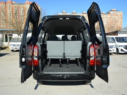 2021款 金杯海狮王 2.0L城运王系列畅运型高顶6座1TZS