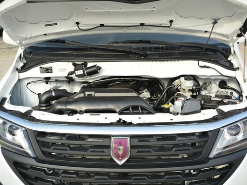 2021款 金杯海狮王 2.0L城运王系列捷运型标准顶6座1TZS