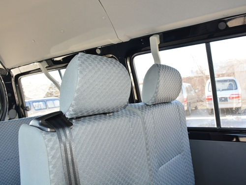 2021款 金杯海狮王 2.0L城运王系列畅运型高顶6座1TZS