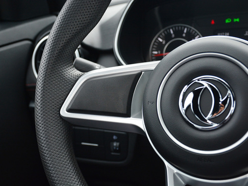 2022款 风光500 1.5L 手动悦享型