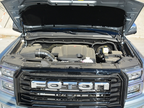 2021款 大将军 2.0T装甲大将军自动两驱休闲版尊享型标箱4G20TI5