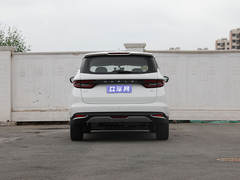 2021款 枫叶80V 易行版