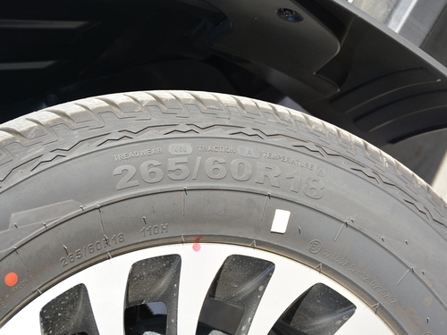 2021款 大将军 2.0T装甲大将军自动两驱休闲版尊享型标箱4G20TI5