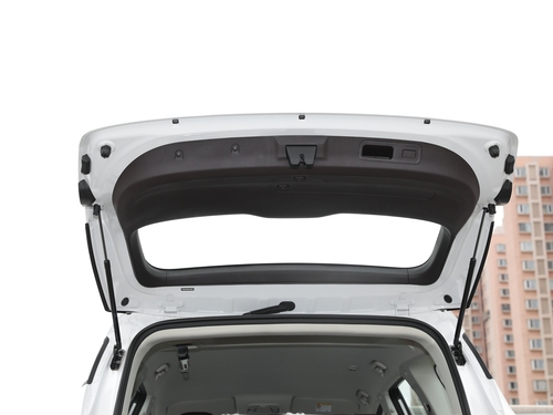 2021款 枫叶80V 易行版