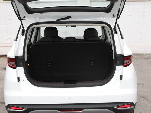 2021款 枫叶80V 易行版