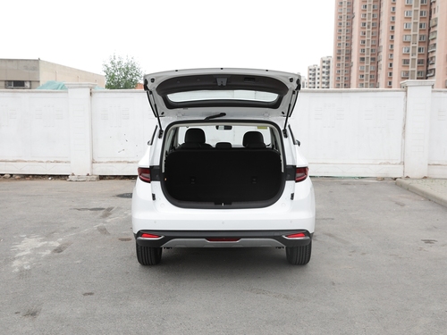 2021款 枫叶80V 易行版