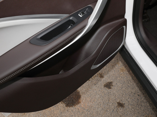 2021款 枫叶80V 易行版