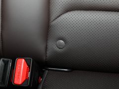 2021款 枫叶80V 易行版