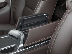 2021款 枫叶80V 易行版