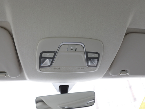 2021款 枫叶80V 易行版