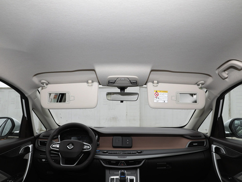 2021款 枫叶80V 易行版