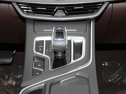 2021款 枫叶80V 易行版