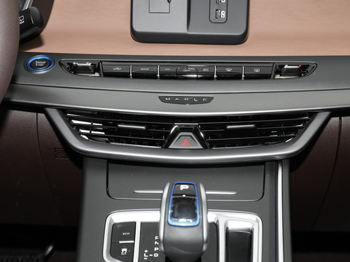 2021款 枫叶80V 易行版