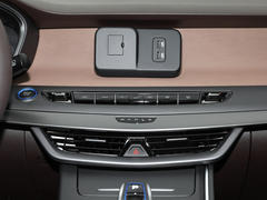 2021款 枫叶80V 易行版