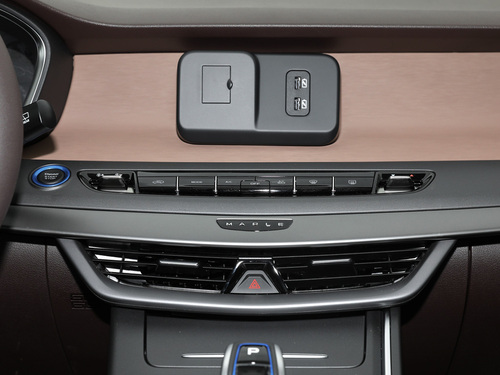 2021款 枫叶80V 易行版