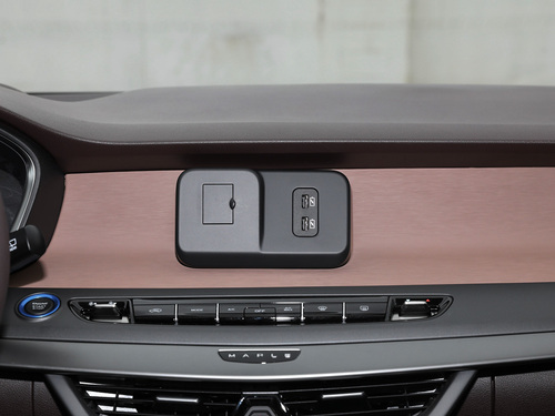 2021款 枫叶80V 易行版