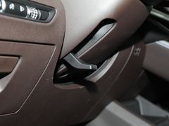 2021款 枫叶80V 易行版