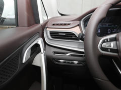 2021款 枫叶80V 易行版