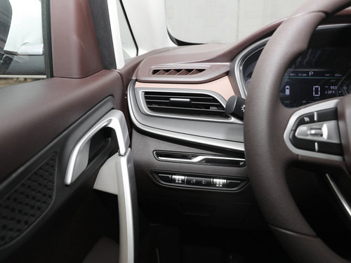 2021款 枫叶80V 易行版