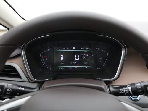 2021款 枫叶80V 易行版