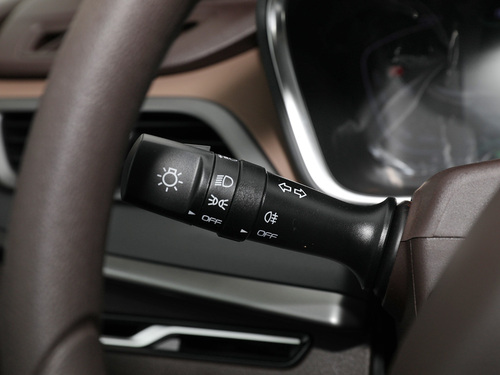 2021款 枫叶80V 易行版