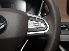 2021款 枫叶80V 易行版