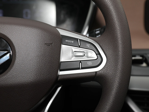 2021款 枫叶80V 易行版