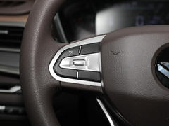 2021款 枫叶80V 易行版