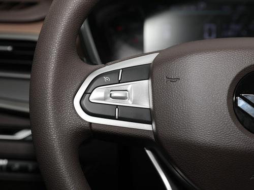 2021款 枫叶80V 易行版