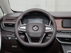 2021款 枫叶80V 易行版