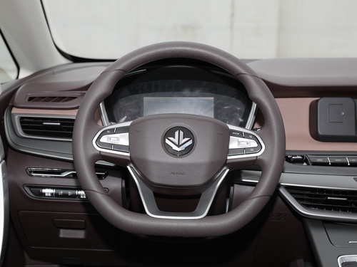 2021款 枫叶80V 易行版