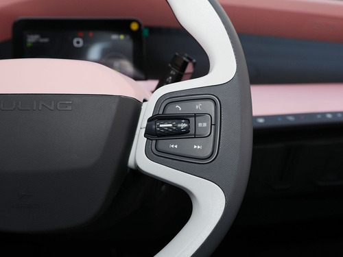 2021款 五菱NanoEV 迪士尼疯狂动物城JUDY限定款