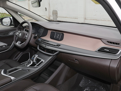 2021款 枫叶80V 易行版