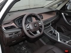 2021款 枫叶80V 易行版