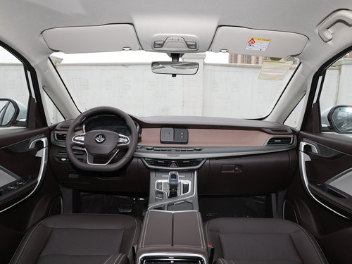 2021款 枫叶80V 易行版