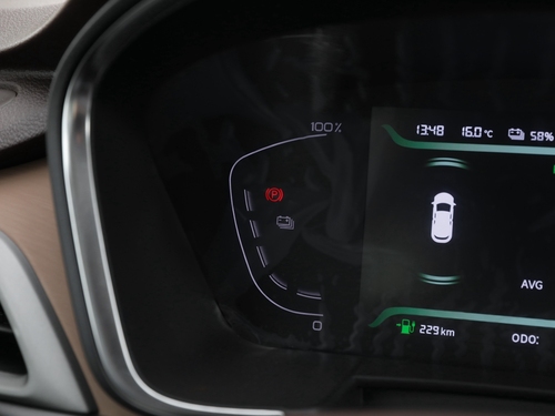 2021款 枫叶80V 易行版