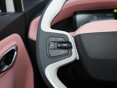 2021款 五菱NanoEV 迪士尼疯狂动物城JUDY限定款