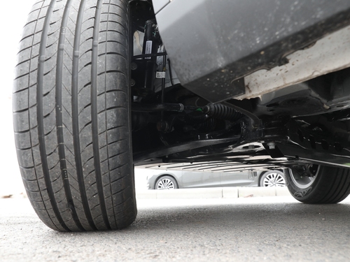 2021款 枫叶80V 易行版