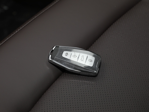 2021款 枫叶80V 易行版