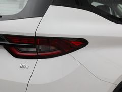 2021款 枫叶80V 易行版