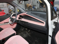 2021款 五菱NanoEV 迪士尼疯狂动物城JUDY限定款