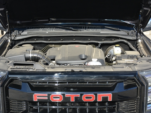 2021款 大将军 2.0T野战大将军自动两驱运动版尊享型标箱4G20TI5