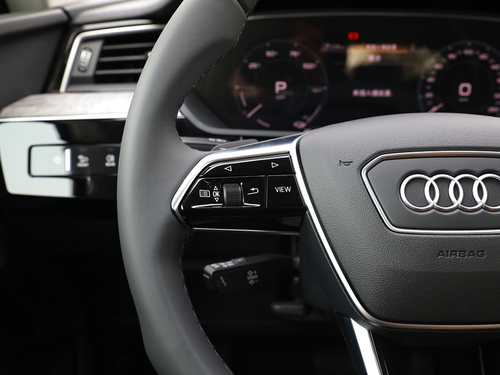 2021款 奥迪e-tron 50 quattro 臻选型