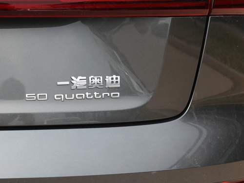2021款 奥迪e-tron 50 quattro 臻选型