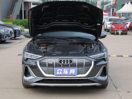 2021款 奥迪e-tron 50 quattro 臻选型
