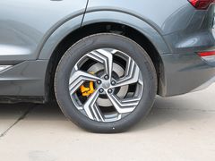 2021款 奥迪e-tron 50 quattro 臻选型